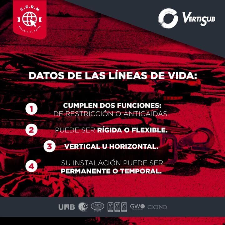 _Líneas+de+Vida+6_o _Líneas+de+Vida+6_o